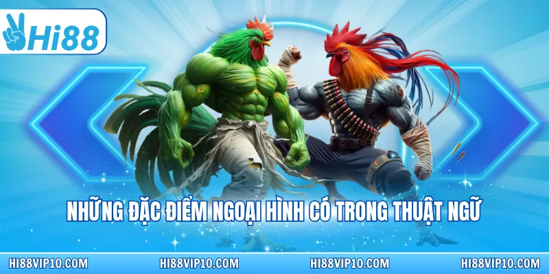 Những đặc điểm ngoại hình có trong thuật ngữ