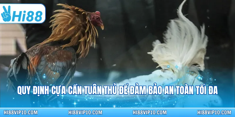 Quy định cựa cần tuân thủ để đảm bảo an toàn tối đa