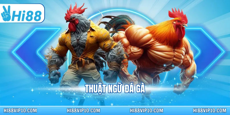 Thuật ngữ đá gà