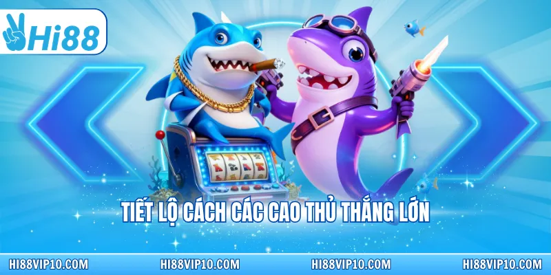 Tiết lộ cách các cao thủ thắng lớn